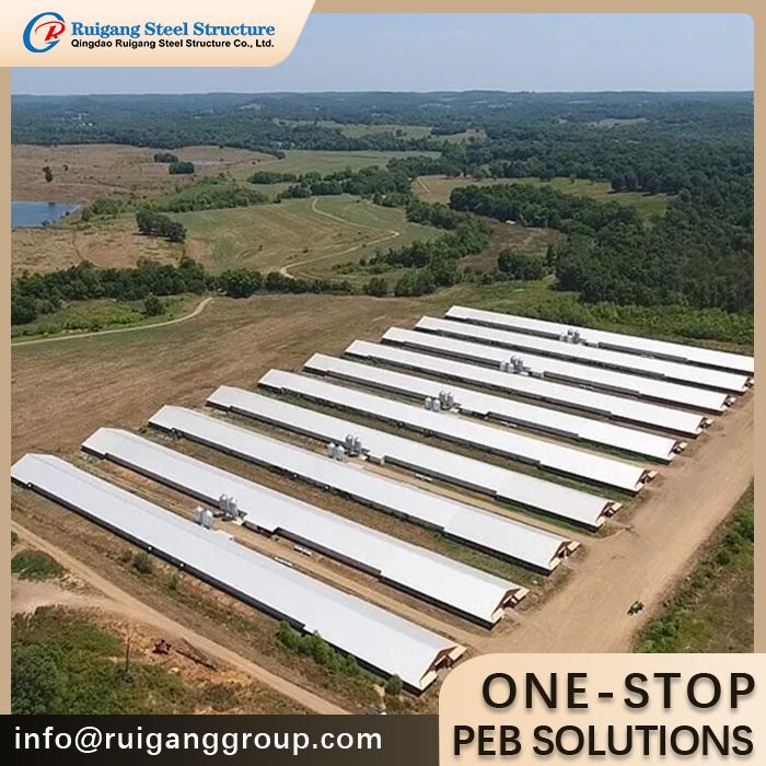 Steel Chicken Shed